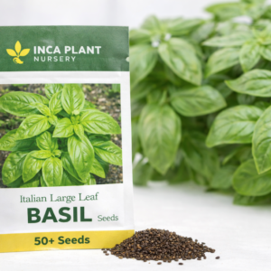 Italian Large Leaf Basil Seeds