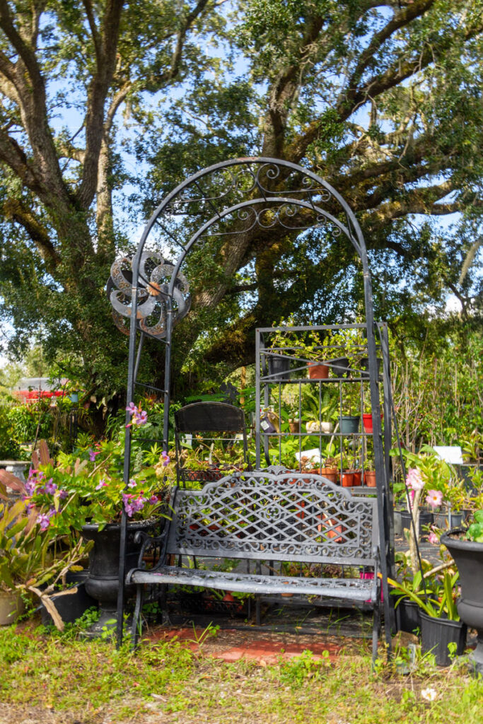Garden bench under a metal arch surrounded by potted plants at Inca Plant Nursery