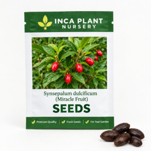 Miracle Fruit / Miracle Berry Seeds (5 Seeds)