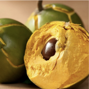 Lucuma seeds